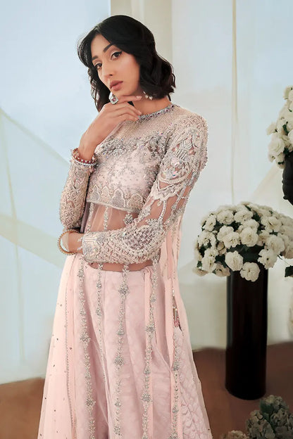 Aiza | Pink Net Hand Embellished Silk Sharara