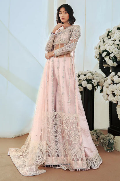 Aiza | Pink Net Hand Embellished Silk Sharara