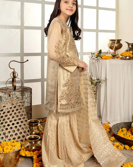 Ally | Girls Gold Organza Gharara
