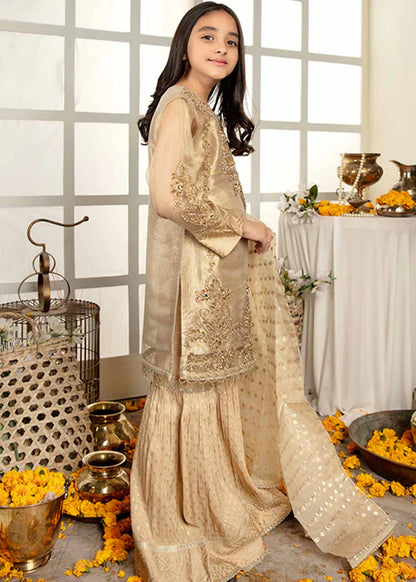 Ally | Girls Gold Organza Gharara