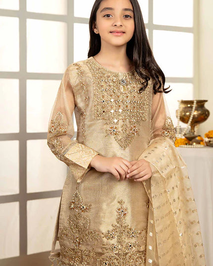 Ally | Girls Gold Organza Gharara