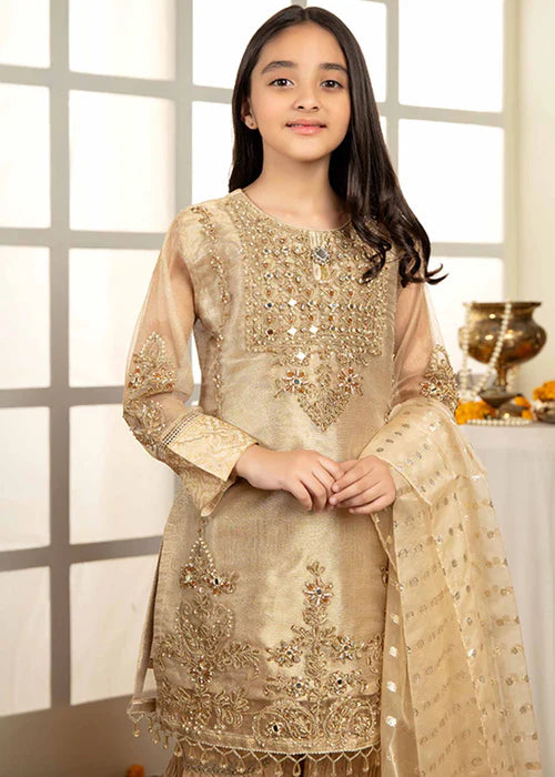 Ally | Girls Gold Organza Gharara