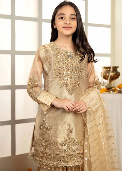 Ally | Girls Gold Organza Gharara