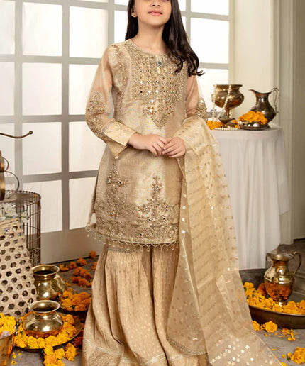 Ally | Girls Gold Organza Gharara