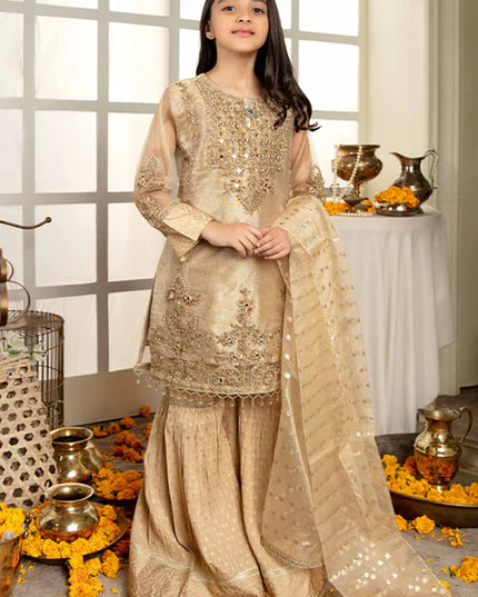 Ally | Girls Gold Organza Gharara