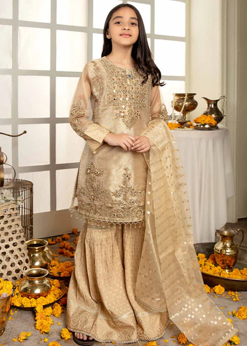 Ally | Girls Gold Organza Gharara