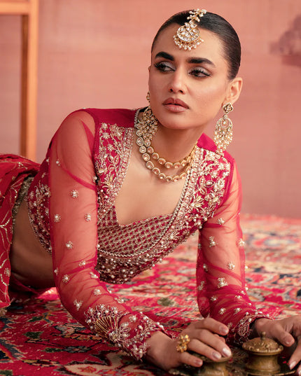 Anarkali | Mehroon Net Hand Embellished Embroidered Lehenga