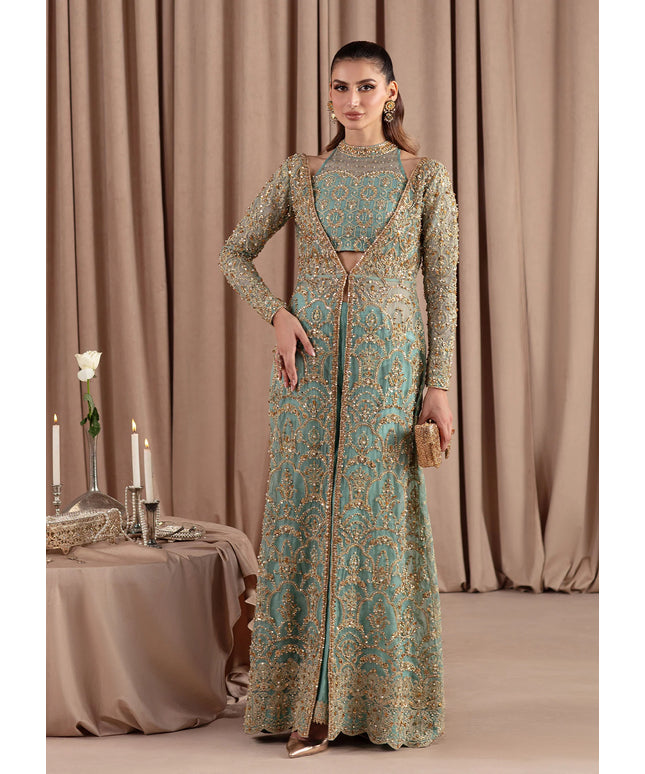 Uma | Sky Blue Organza Embellished Gown