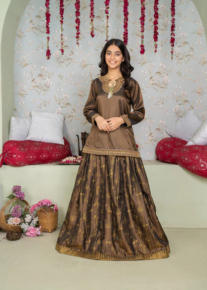 Naina | Girls Bronze Silk Embroidered Lehenga