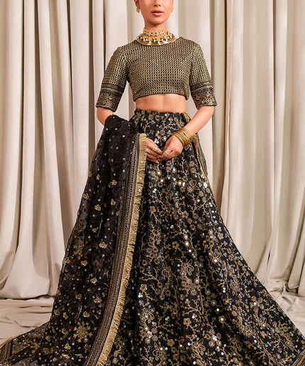 Bulbul | Black Embroidered Silk Lehenga