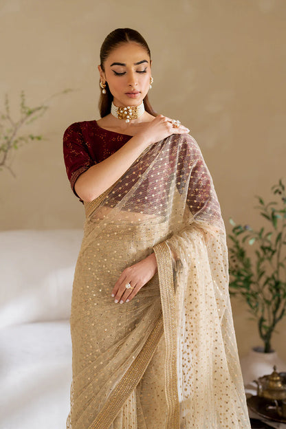 Iznik | Embroidered Net Saree