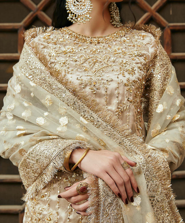 Chaman | Gold Embellished Pure Tissue Gharara
