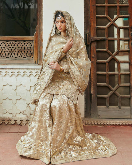 Chaman | Gold Embellished Pure Tissue Gharara