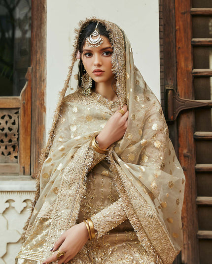 Chaman | Gold Embellished Pure Tissue Gharara