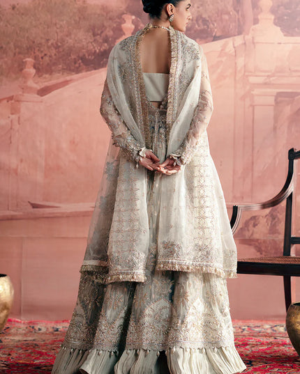 Chandni | Off White Net Hand Embellished Embroidered Frock