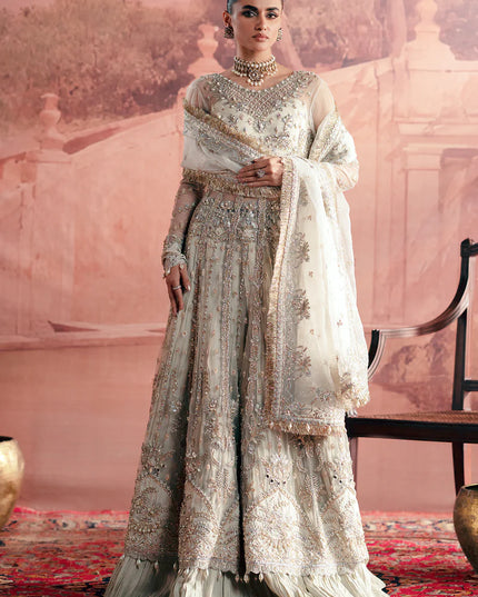 Chandni | Off White Net Hand Embellished Embroidered Frock