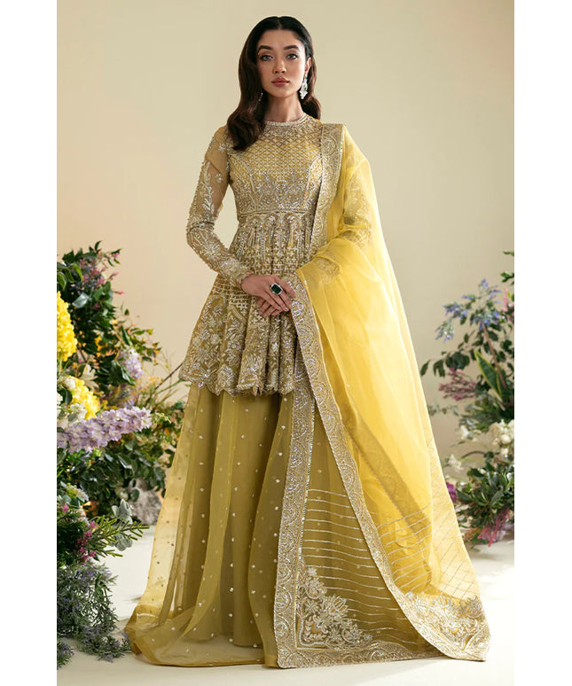 Shams | Wedding Wear Embellished Peplum Sharara