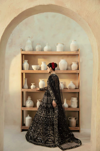 Cinder | Black Organza Embroidered Hand Embellished Lehenga