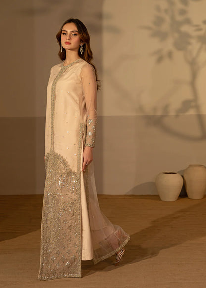 Aelina | Fone White Net Hand Embellished Gown