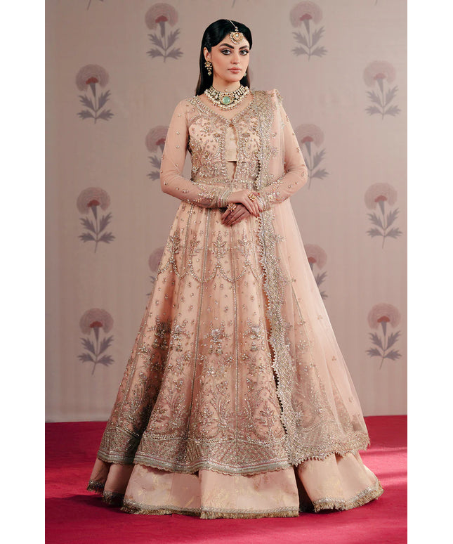 Dilara | Peach Net Hand Embellished Embroidered Peshwas