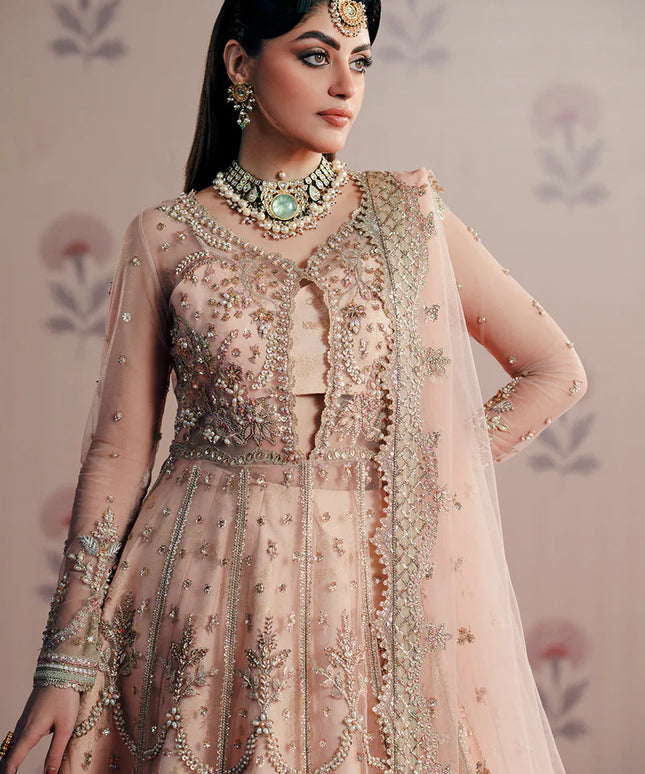 Dilara | Peach Net Hand Embellished Embroidered Peshwas