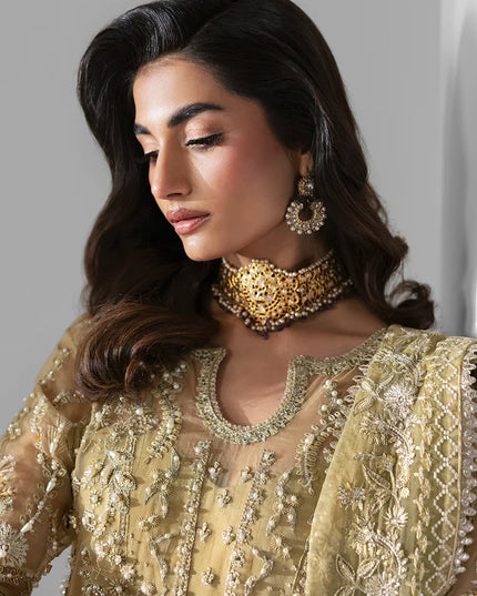 Elixir | Mint Green Organza Hand Embellished Sharara