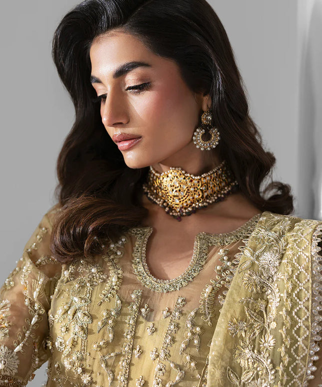 Elixir | Mint Green Organza Hand Embellished Sharara