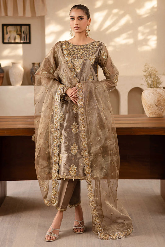 Raveen | Embroidered Zari Mesoury Embellished Suit