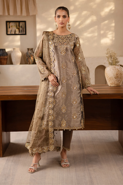 Raveen | Embroidered Zari Mesoury Embellished Suit