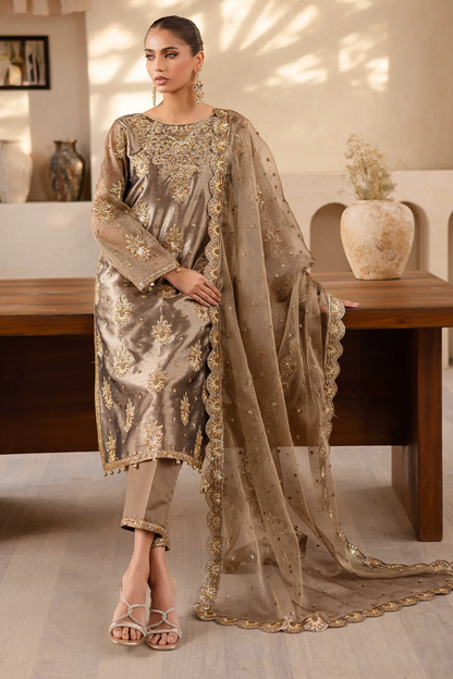 Raveen | Embroidered Zari Mesoury Embellished Suit