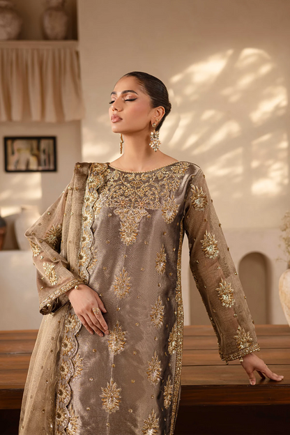 Raveen | Embroidered Zari Mesoury Embellished Suit