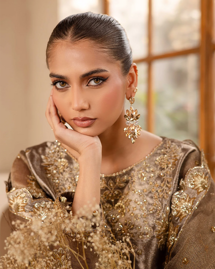 Raveen | Embroidered Zari Mesoury Embellished Suit