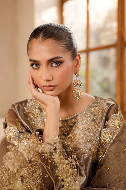 Raveen | Embroidered Zari Mesoury Embellished Suit