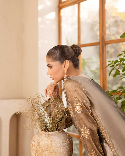 Raveen | Embroidered Zari Mesoury Embellished Suit