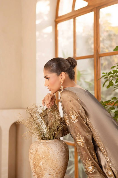 Raveen | Embroidered Zari Mesoury Embellished Suit