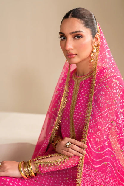 Baroque | Pink Embroidered Chiffon Suit