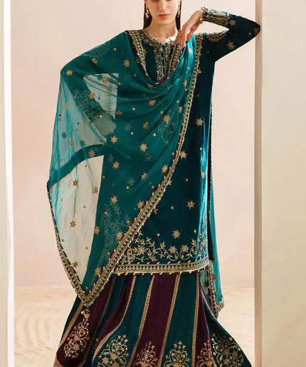 Arsh | Pure Velvet Embroidered Sharara
