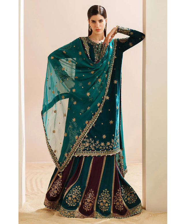 Arsh | Pure Velvet Embroidered Sharara