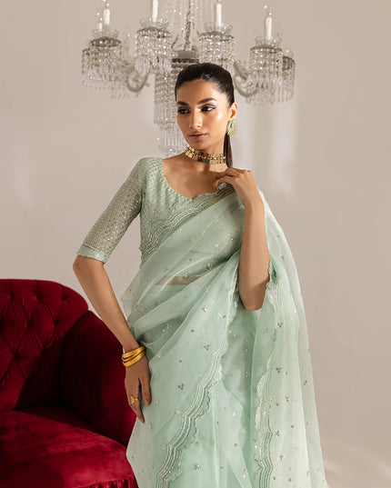 Gulraaz | Mint Embroidered Organza Saree