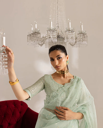 Gulraaz | Mint Embroidered Organza Saree