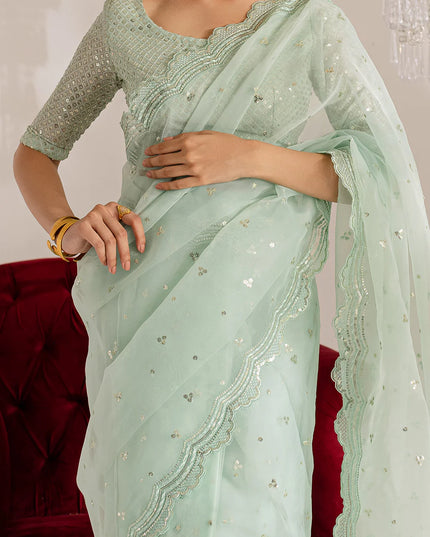 Gulraaz | Mint Embroidered Organza Saree