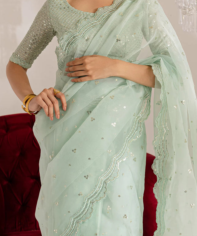 Gulraaz | Mint Embroidered Organza Saree