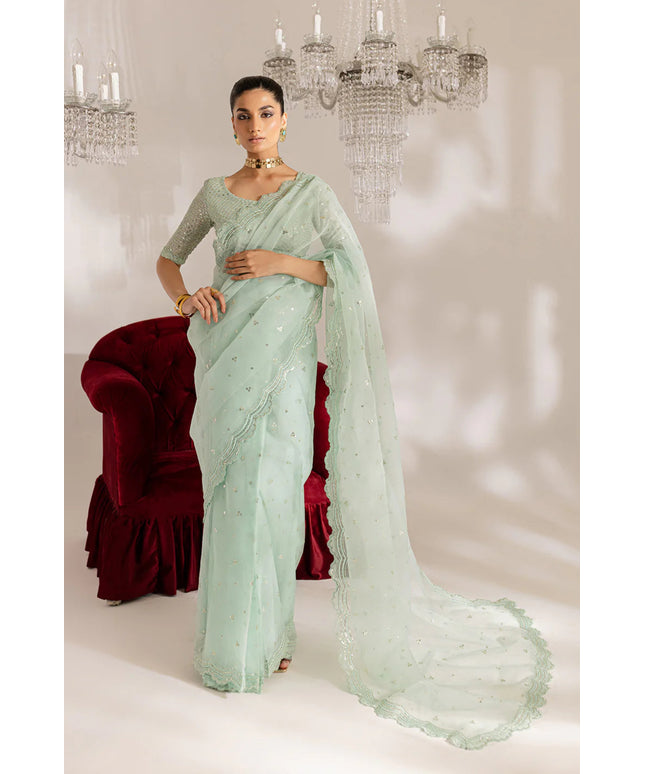 Gulraaz | Mint Embroidered Organza Saree