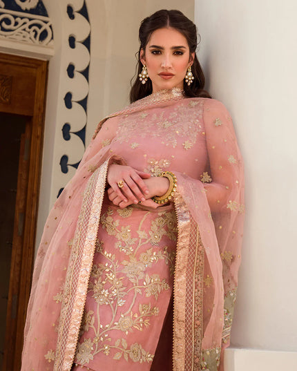 Model wearing a Faiza Saqlain Korean Raw silk dress in pink