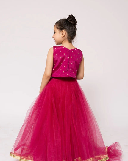 Gulaboo | Girls Raw Silk Net Lehenga Choli