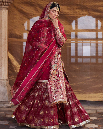 Hussain Rehar | Embroidered Organza Sharara