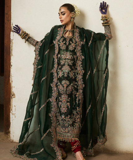 Hussain Rehar | Emerald Organza Embroidered Embellished Churidar Suit
