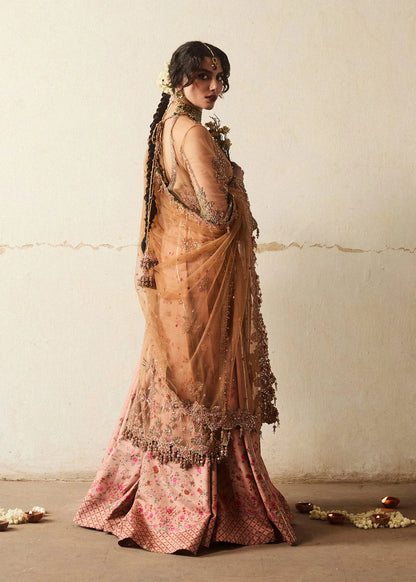 Hussain Rehar | Beige Net Embroidered Embellished Sharara