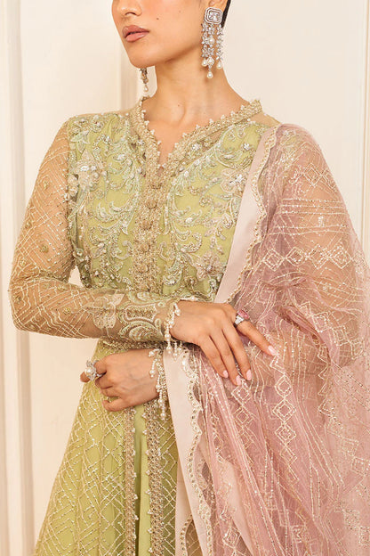 Mushq | Mint Green Net Hand Embellished Gown