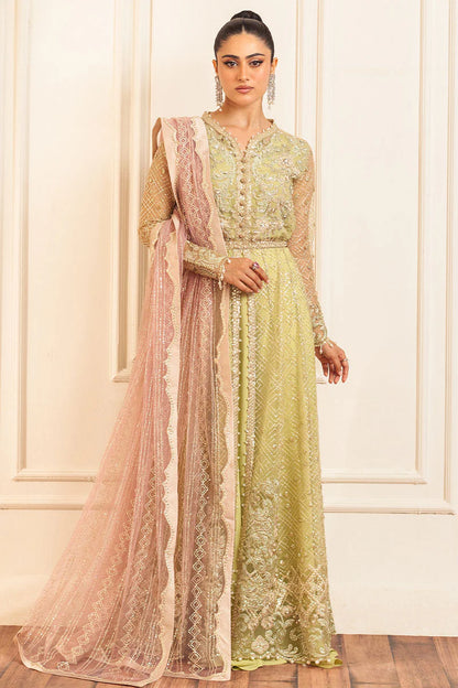 Mushq | Mint Green Net Hand Embellished Gown